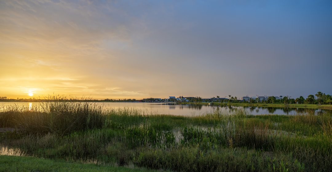North Port