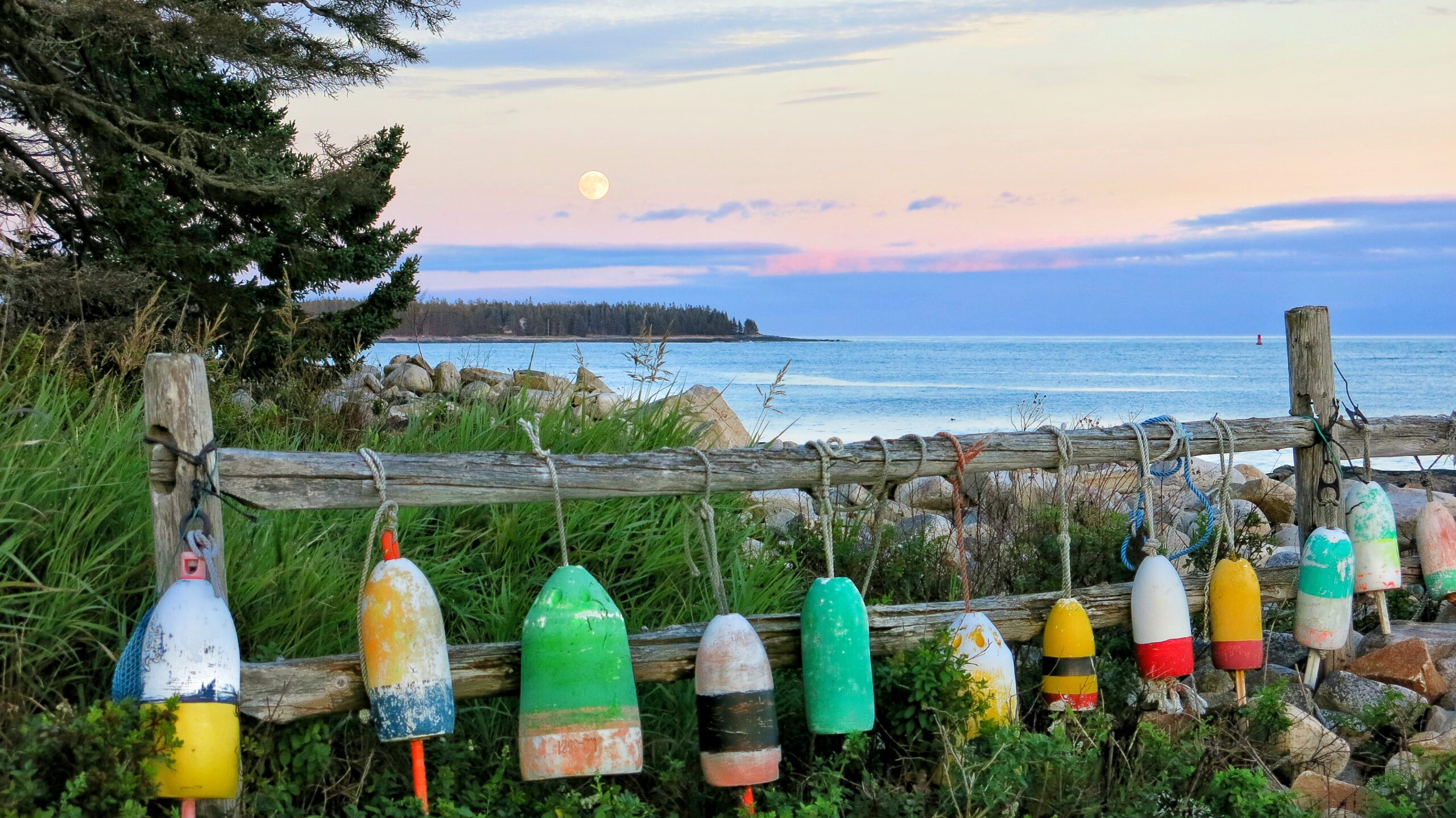 How Seasonal Trends Influence Real Estate Markets Throughout the Year